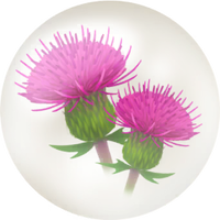 Red thistle nectar icon.png