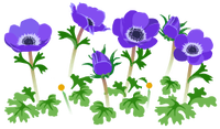 Blue windflower flowers icon.png