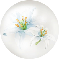White lily nectar icon.png