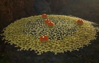 Sticky Mold Primordial Thicket.jpg