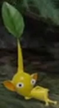 Yellowpikmin3.jpg