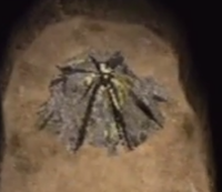 P2 Inactive Geyser.png