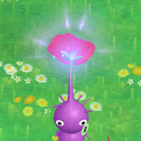 Pikminbloom glowingbloom 2021nov14.png
