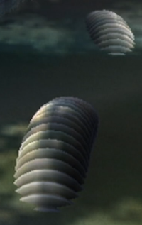 Washing machine tube.png