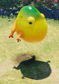 Masterhop Leaping P4.jpg