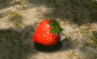 P2 Sunseed Berry Treasure Hoard.png