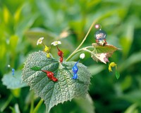 Pikmin family P1 art.jpg