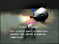 Reel9 Fiery Blowhog.png