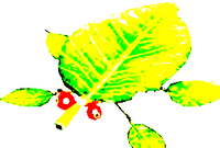 Screenshot 2014-01-06 at 11.20.44 PM.png