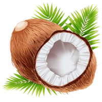 Tropical Coconut icon.png