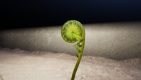 Fiddlehead Engulfed Castle.jpg