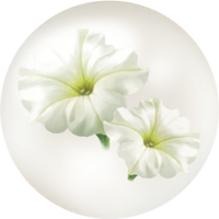 White petunia nectar icon.png