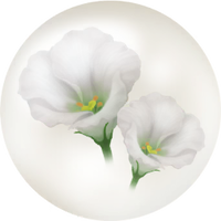White prairie gentian nectar icon.png