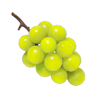 Dawn Pustules P4 icon.png