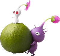 Purple-and-white-pikmin-with-zest-bomb.png