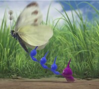 Treasure in a Bottle 6.jpg