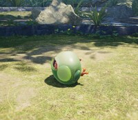 Creeping Chrysanthemum corpse.jpg