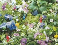 P3D inside cover.jpg