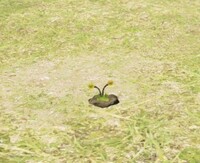 P4 Aristocrab Offspring buried.jpg