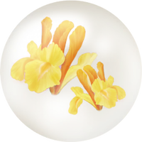 Yellow iris nectar icon.png