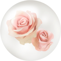 White anniversary rose nectar icon.png