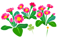 Red primrose flowers icon.png