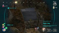 Paper Bag Pikmin 3.jpg