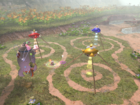 05 Site Final Trial.png