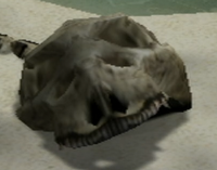 Skull P1.png