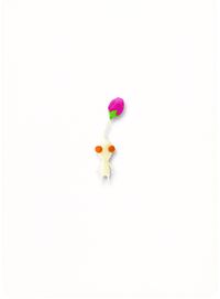 E+ back Whitebud.jpg