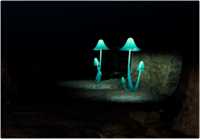 P4 Voyage Log Olimar 47.png