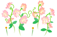 Red sweet pea flowers icon.png