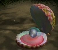 Pearly Clamclamp.jpg