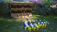 Pikmin 4 Climbing Wall Unbroken.png