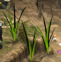 Spiked Grass.png