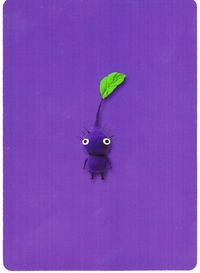 E+ back Purpleleaf.jpg