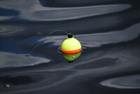 Fishing bobber (real world).jpg