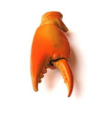 Crab Claw (real world).jpg