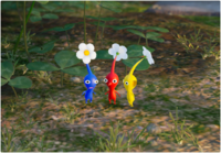 P4 Voyage Log Olimar 71.png