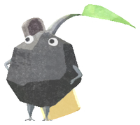 PB Lifelog Rock Hotel Amenities.png