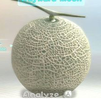 Wayward Moon P3 analysis menu.png