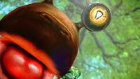 OrangeBulborbCloseUp-Pikmin3.jpg