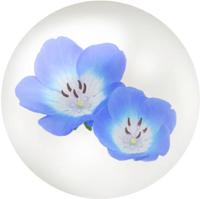 Blue nemophila nectar icon.png