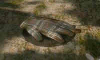 P2 Five-man Napsack Treasure Hoard.png