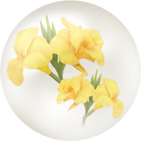 Yellow canna lily nectar icon.png