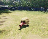 Waddlequaff frontside.jpg