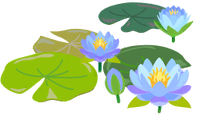 Blue water lily flowers icon.png