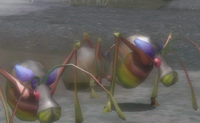 Three Antenna Beetles.png