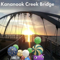 Postcard - Special peek-a-boo.png