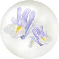 White iris nectar icon.png